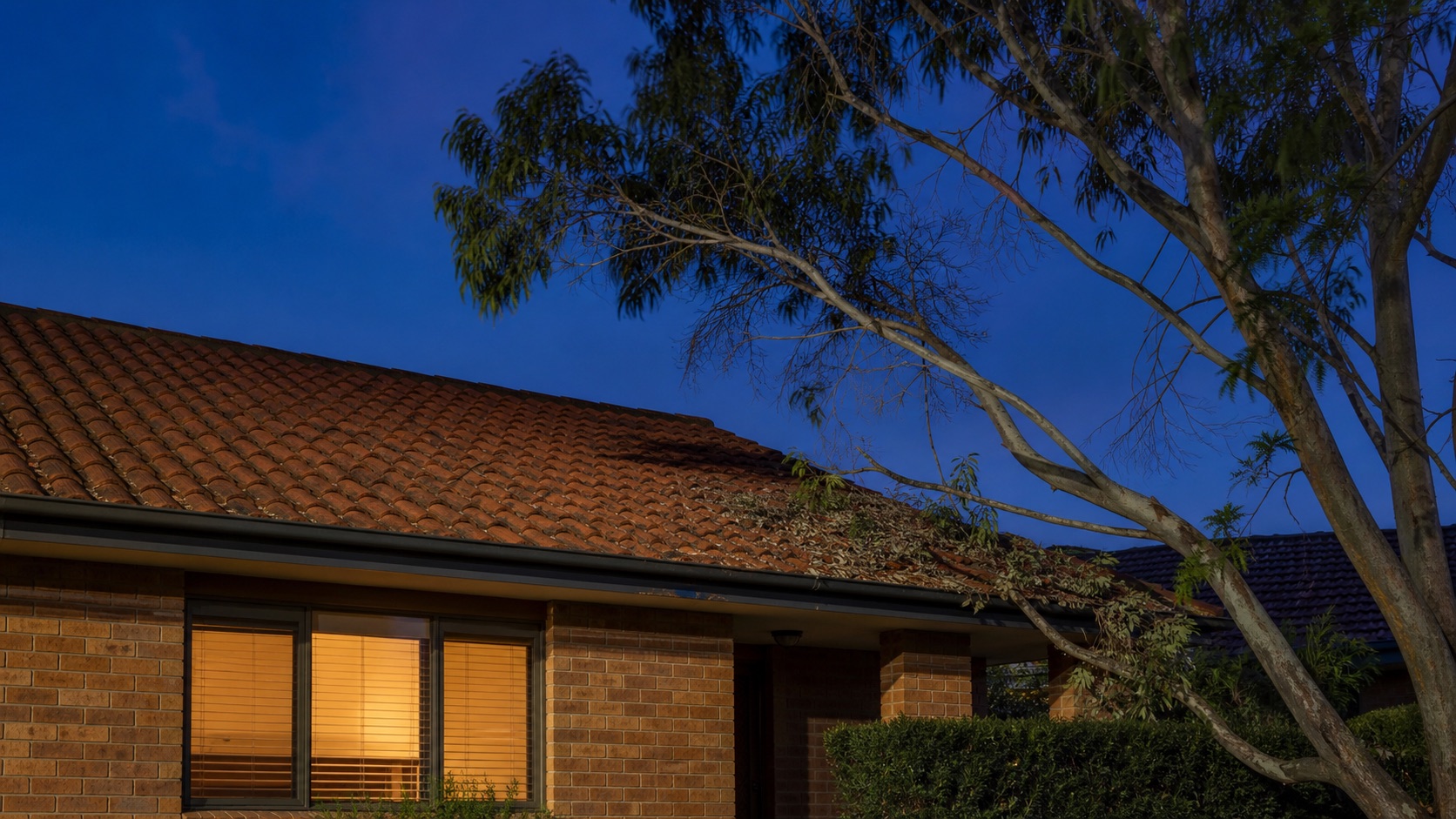 Suburban Sydney tile roof at dusk with eucalypt branches overhanging the gutter