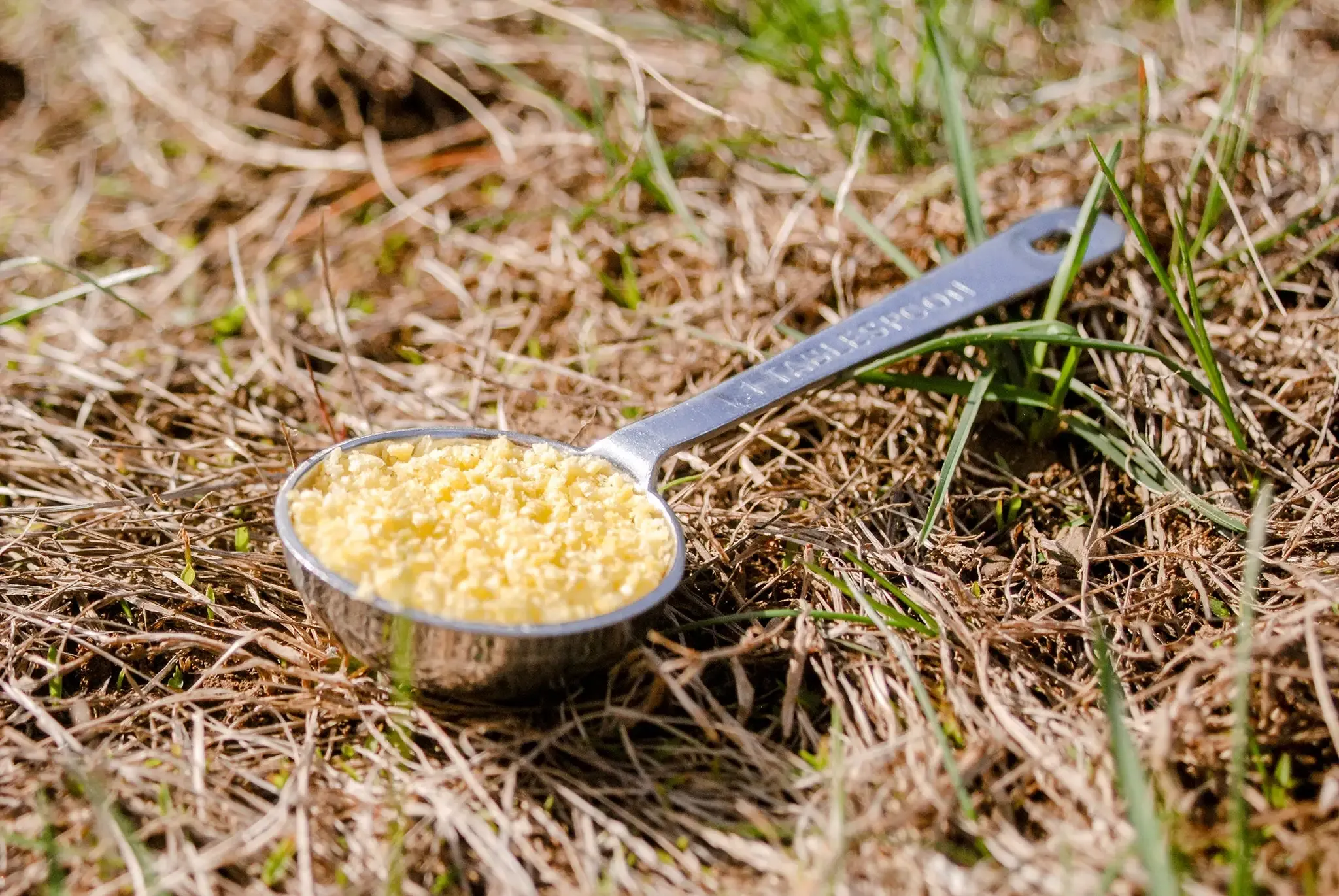 Ant bait station placed near a trail