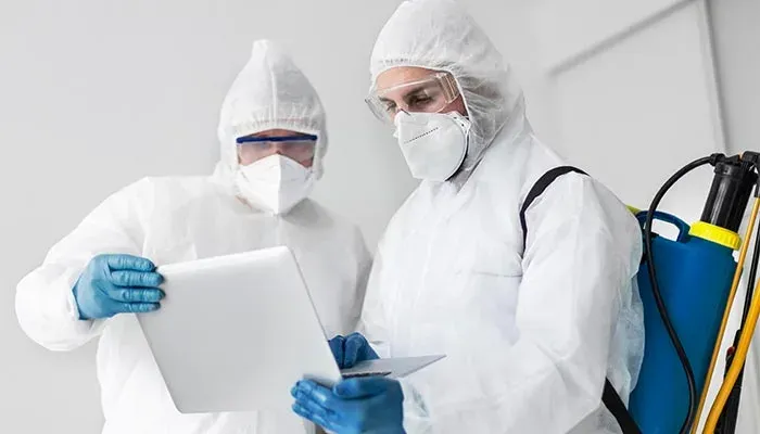 Best season for pest control in Australia